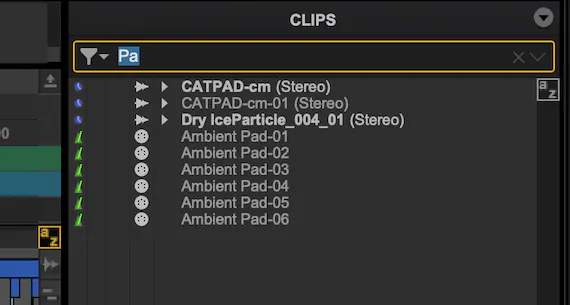 Pro Tools 2024.6 Clip List Search